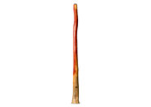 Tristan O'Meara Didgeridoo (TM390)